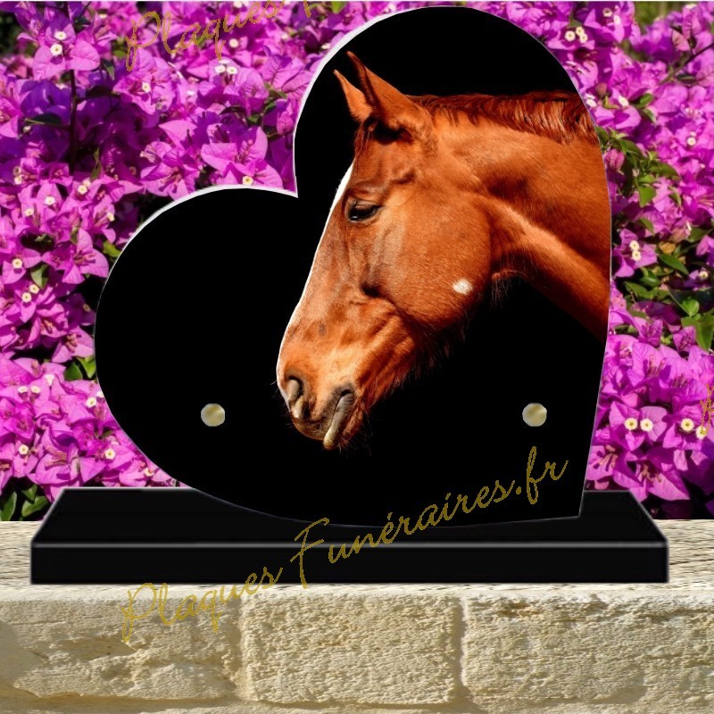 CHEVAUX PLAQUE CONCOURS HIPPIQUE étrier du Dauphin 5eme Prix CHEVAUX PLAQUE CONCOURS HIPPIQUE étrier du Dauphin 5eme Prix